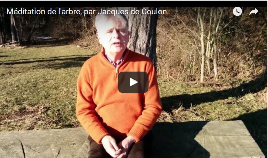 Méditation de l'arbre, par Jacques de Coulon 8